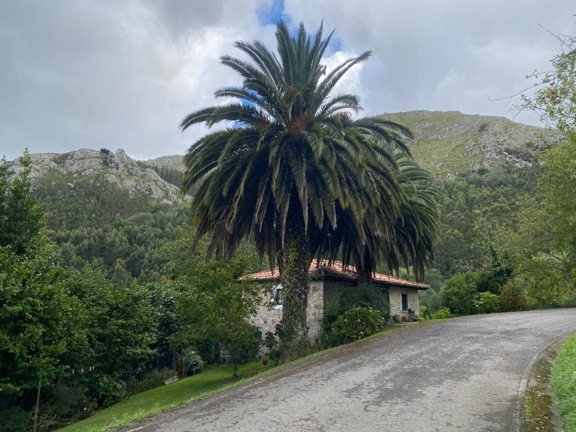 Casa Estilo Rural Con Jardin Entre Playa Y Montana Villa Каравия Екстериор снимка